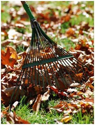 Autumn Lawn Care